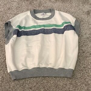 Sundry Men's Gray and Cream Crewneck Sweater with Blue and Green Stripes